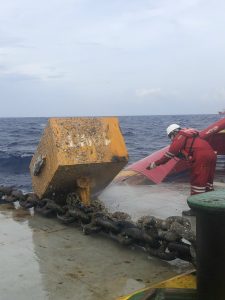 20221118_134743099_iOS