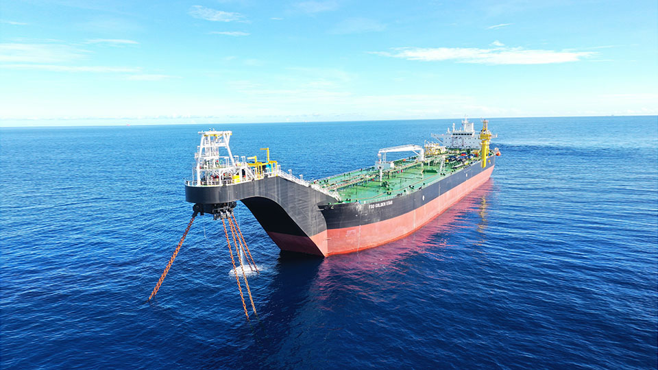 sao-vang-dai-nguyet-2