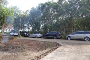 20211126_022034000_iOS