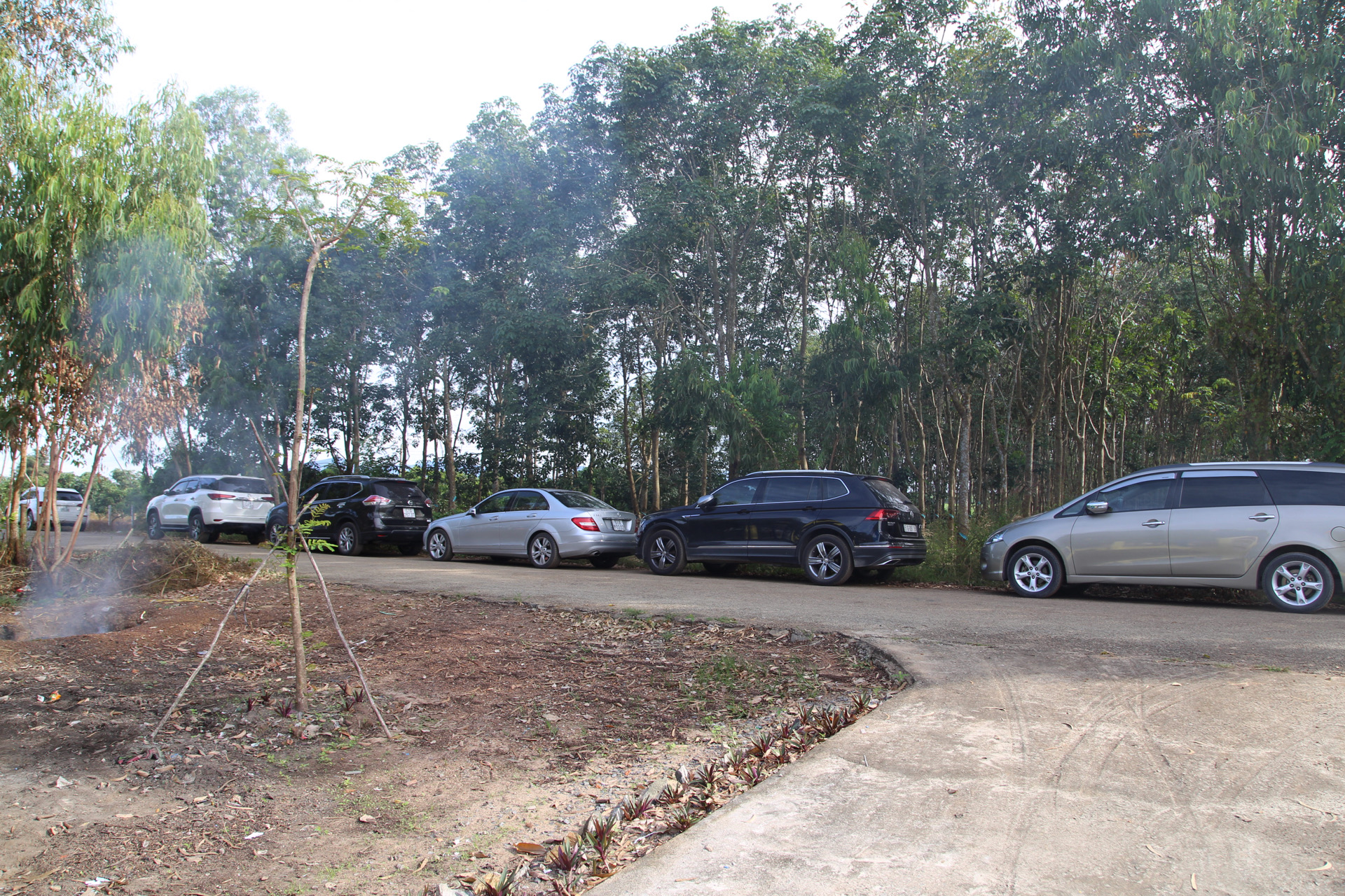 20211126_022034000_iOS